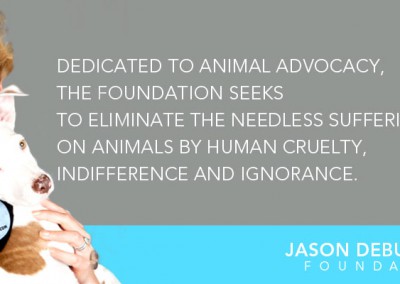 JASON DEBUS HEIGL FOUNDATION