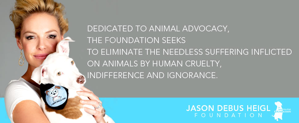 JASON DEBUS HEIGL FOUNDATION